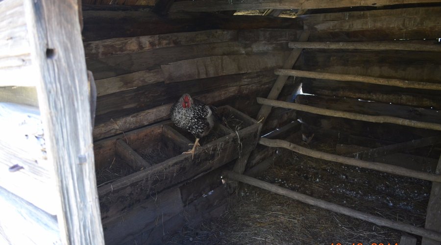 Photo taken on the property
