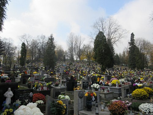 67 pierres tombales vandalisées dans un cimetière de Pologne - The Times of  Israël