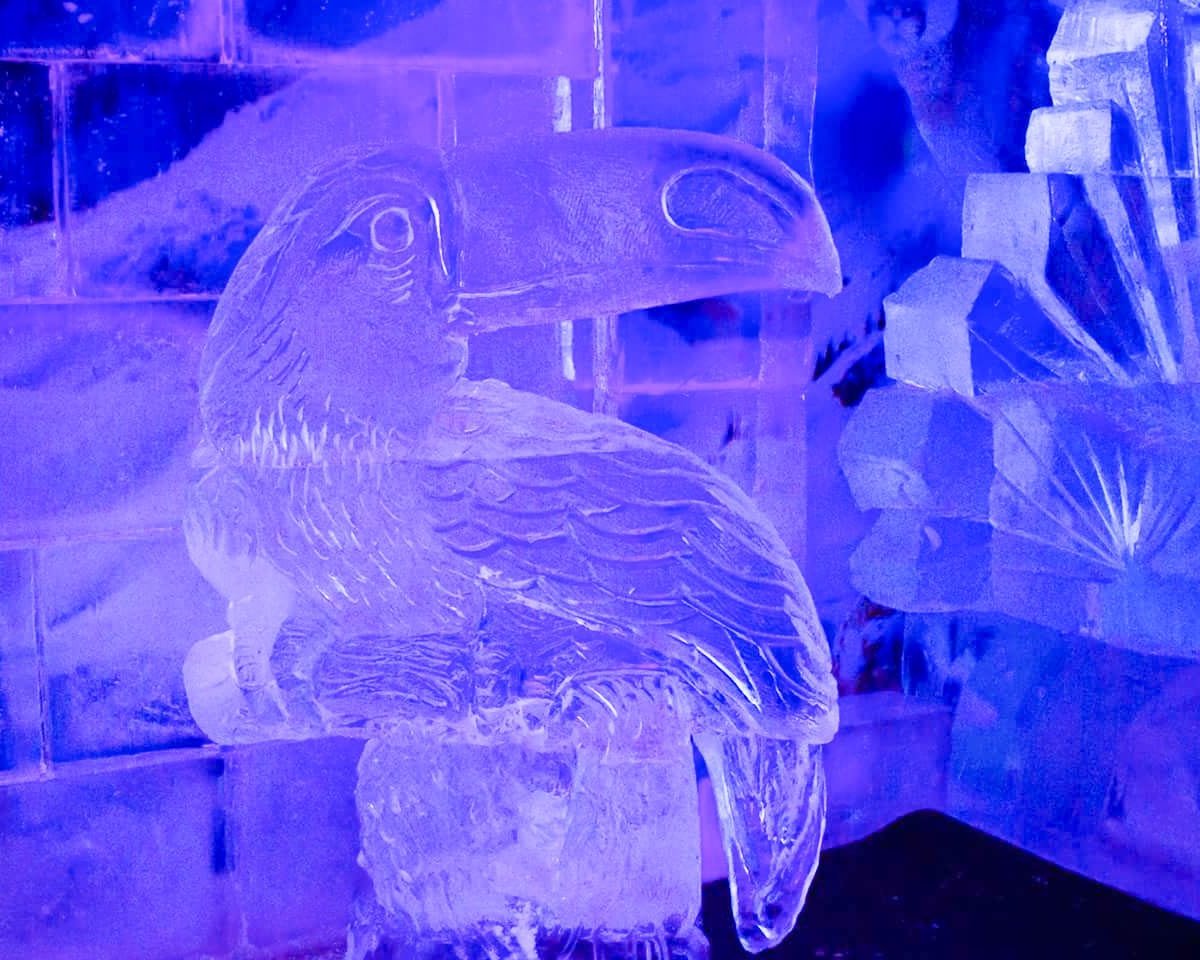 Dream Ice Bar  Foz do Iguaçu PR