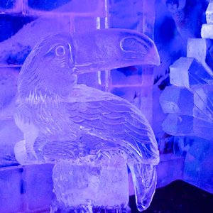 Dreams Ice Bar - All You Need to Know BEFORE You Go (with Photos)