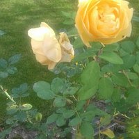 Jardín Botánico de La Rioja