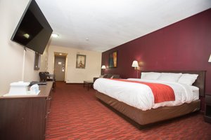 Room & Suite