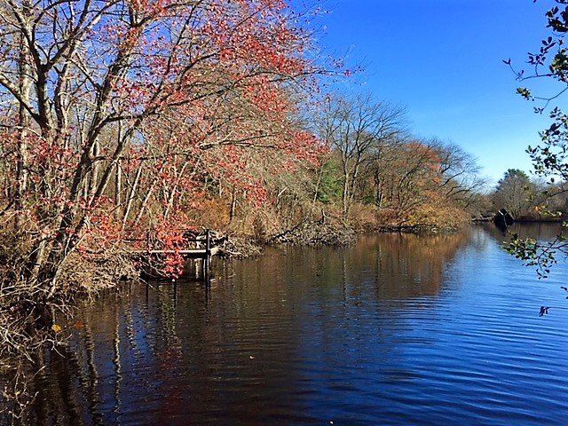 Connetquot River State Park Preserve Photos