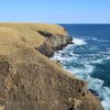 Things To Do in Cape Nosappu, Restaurants in Cape Nosappu