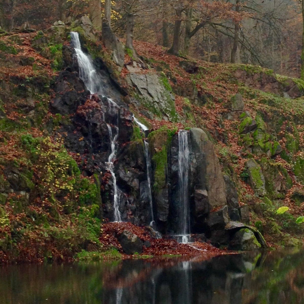 5 лучших отелей и гостиниц Bad Liebenstein в 2024 году - Tripadvisor