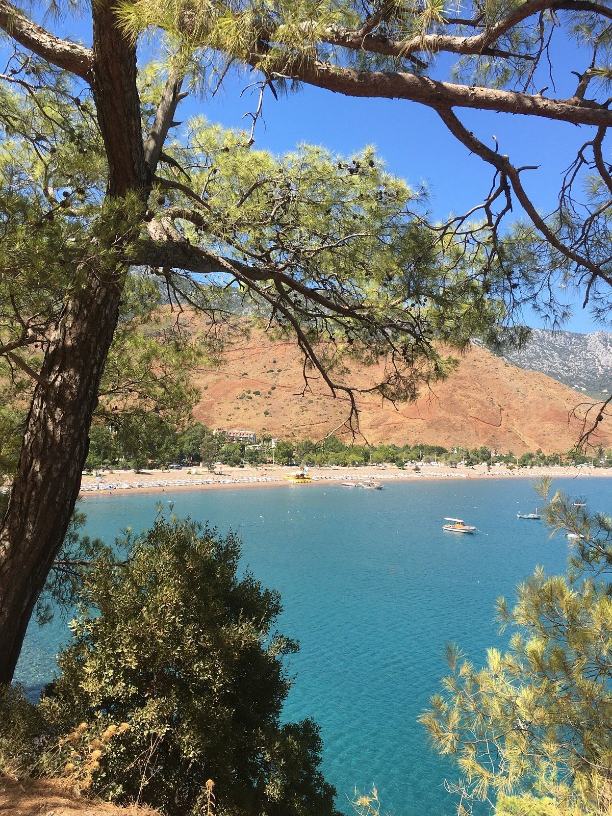 Как нас обманывает отель - отзыв о Olympos Health Resort, Кумлука, Турция -  Tripadvisor