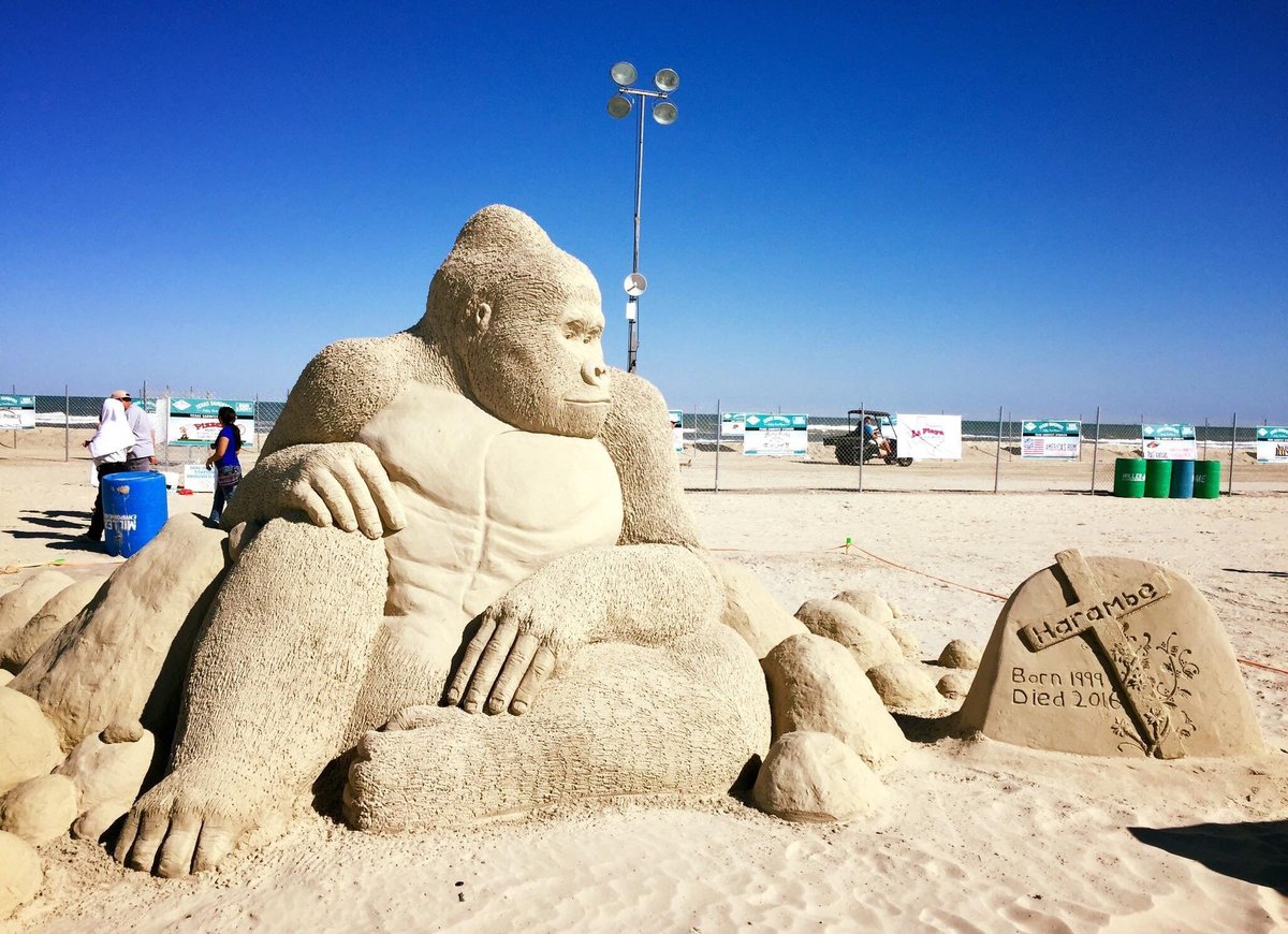 Texas SandFest (Port Aransas) All You Need to Know