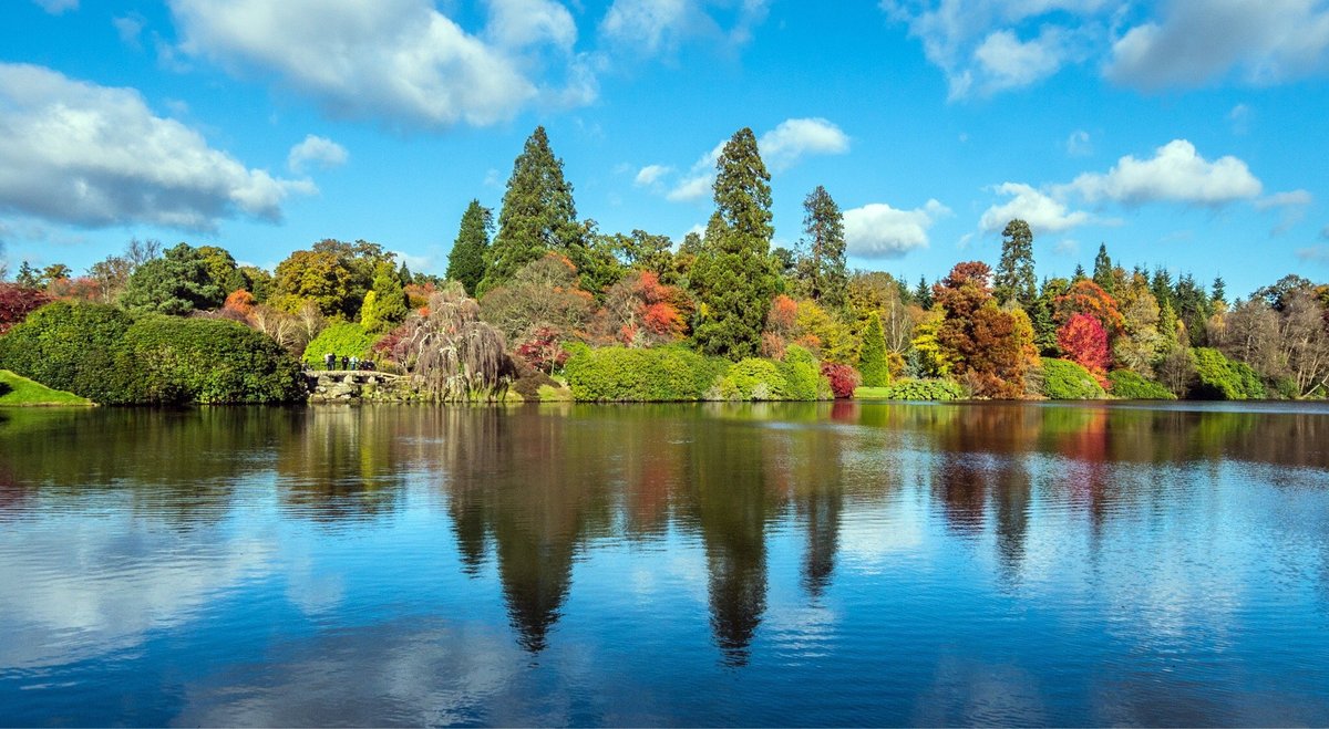 Sheffield Park and Garden, Акфилд: лучшие советы перед посещением -  Tripadvisor