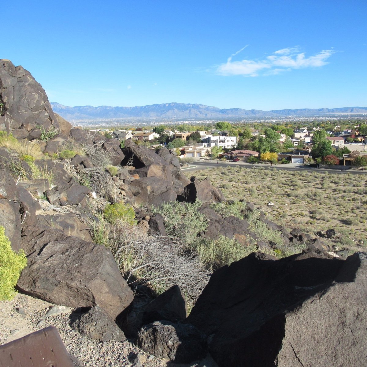 are dogs allowed in petroglyp national monument