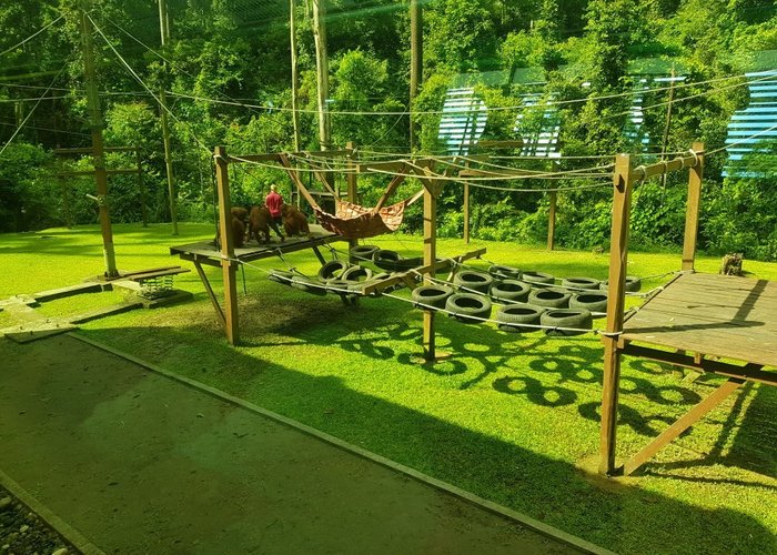 Orangutan sanctuary