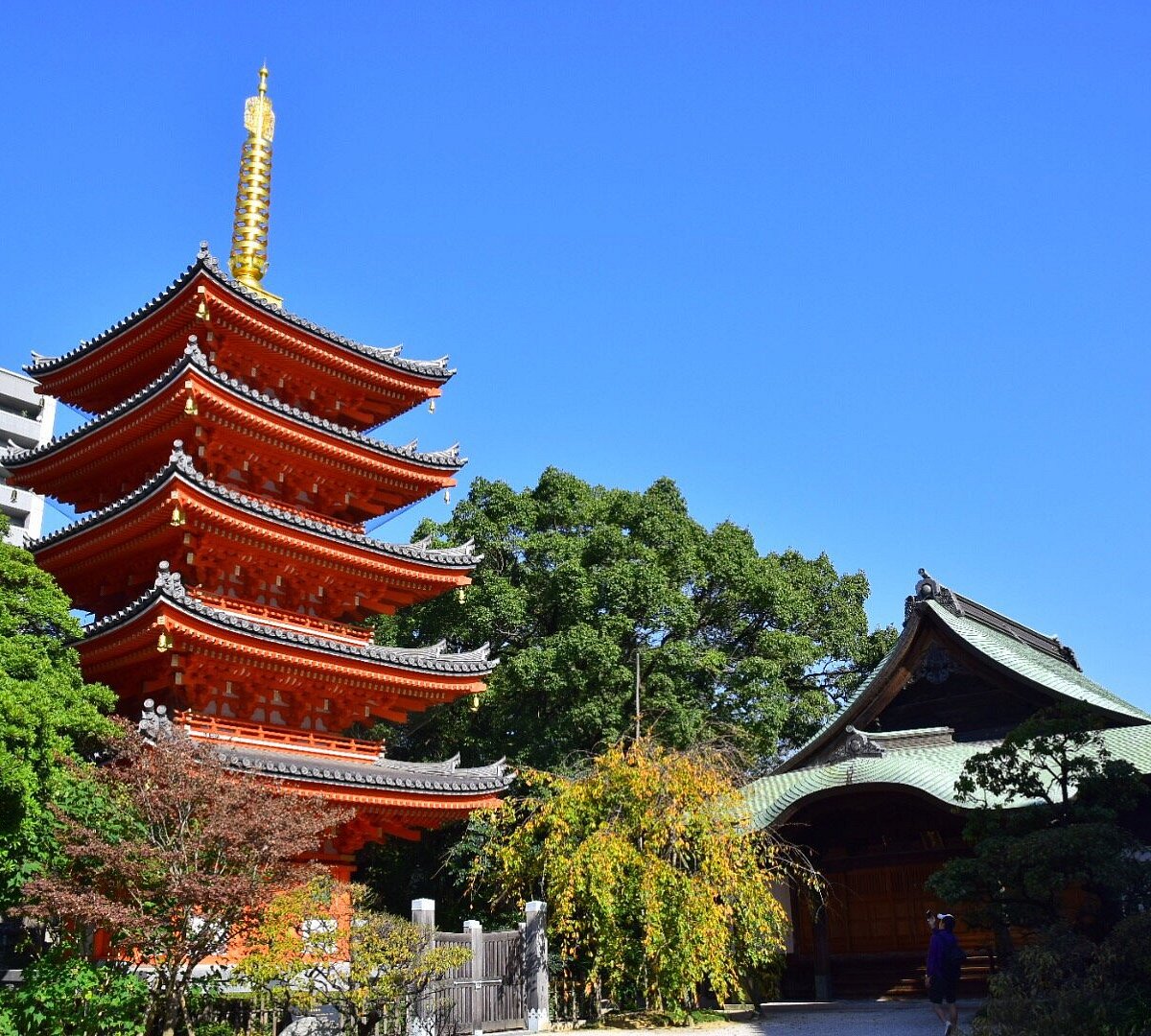 Tochoji Temple Hakata