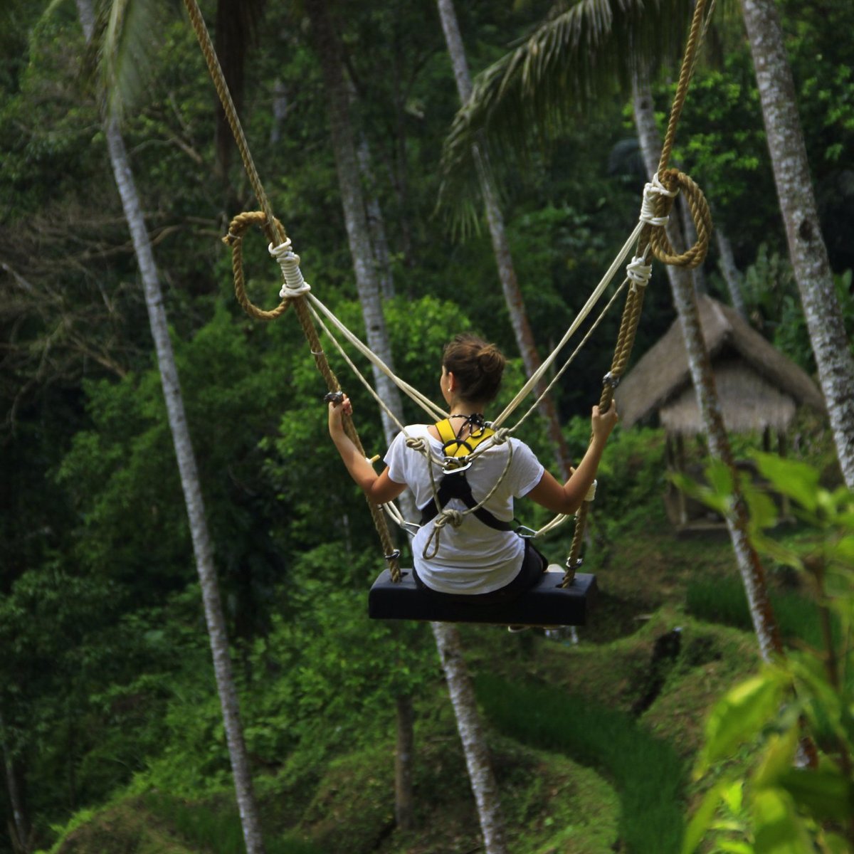 Bali Swing Ubud