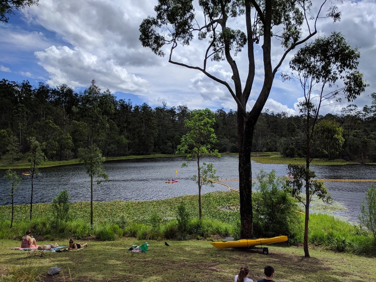 Walkabout Creek Discovery Centre (Brisbane) - Lo que se debe saber ...