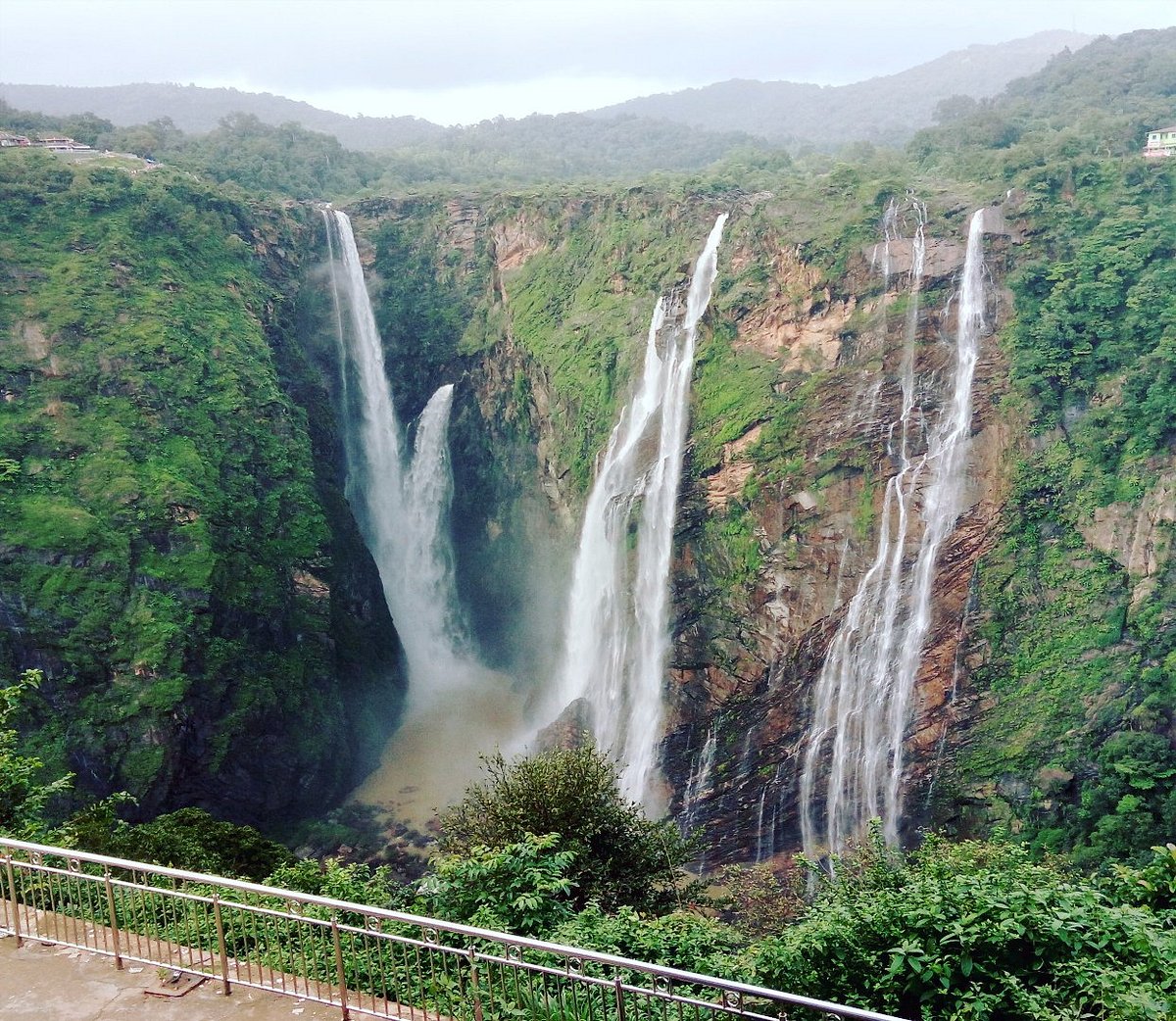 jog falls tour package