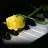 Christine B
