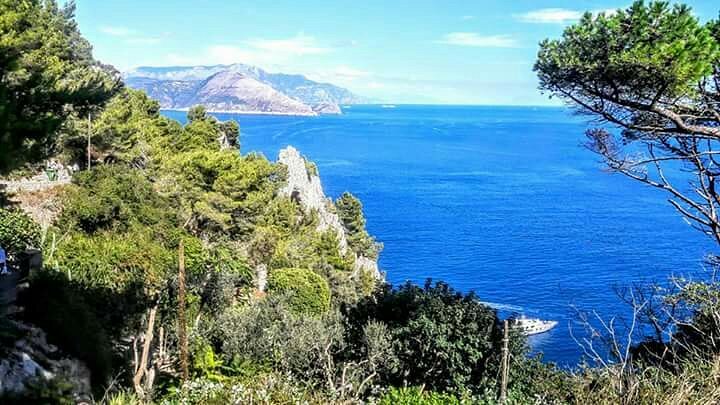 Capri- Natural