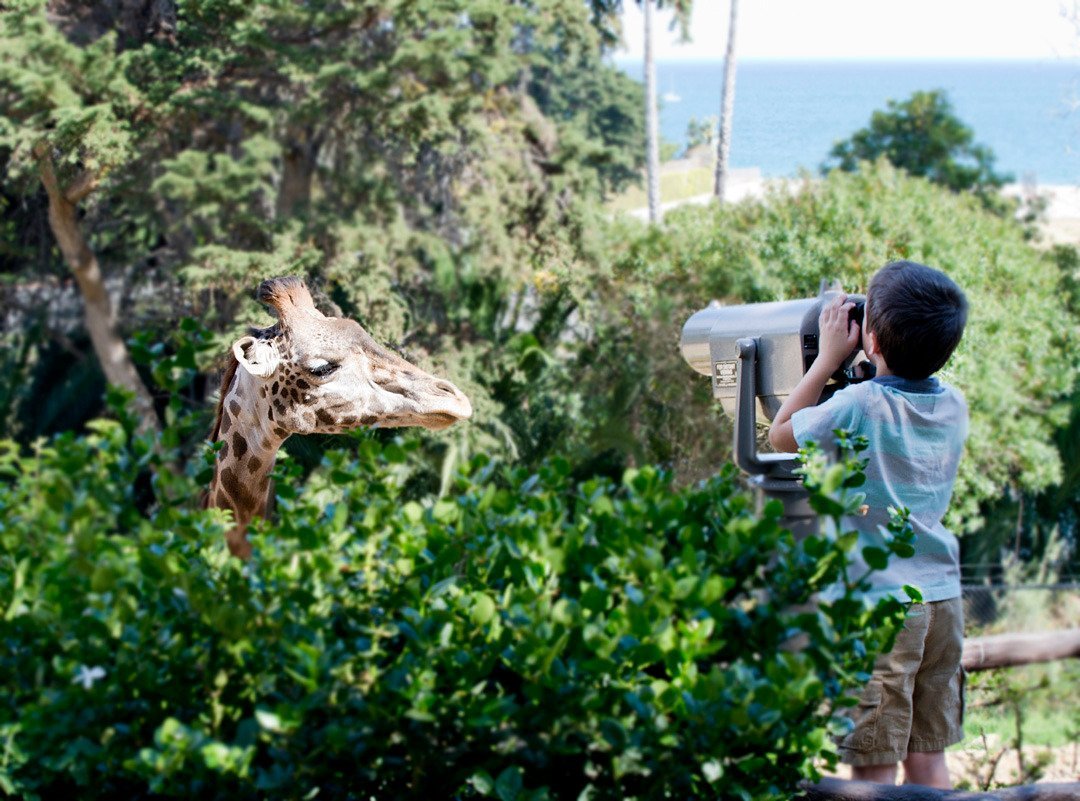 Santa Barbara Zoo - All You Need to Know BEFORE You Go (2024)