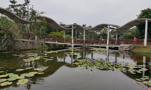 萬景藝苑