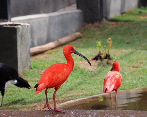 10 MELHORES Parques aquáticos em Minas Gerais - Tripadvisor