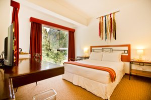 Habitación y suite