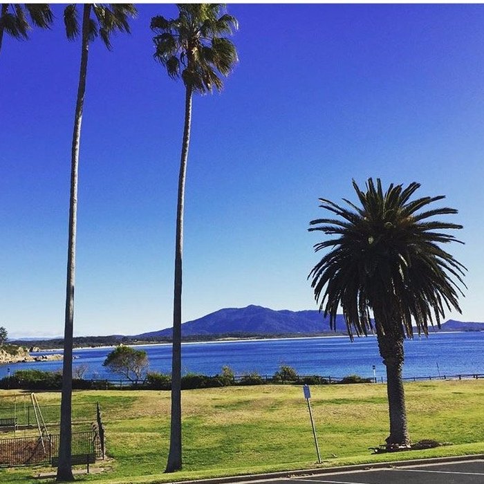 Bermagui Beach Hotel by null
