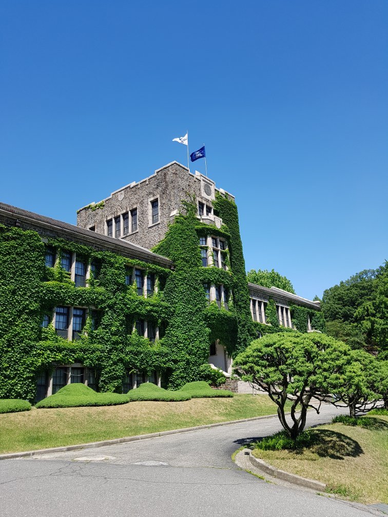 YONSEI UNIVERSITY SINCHON CAMPUS (Seúl) - Qué DEBES Saber Antes De Ir