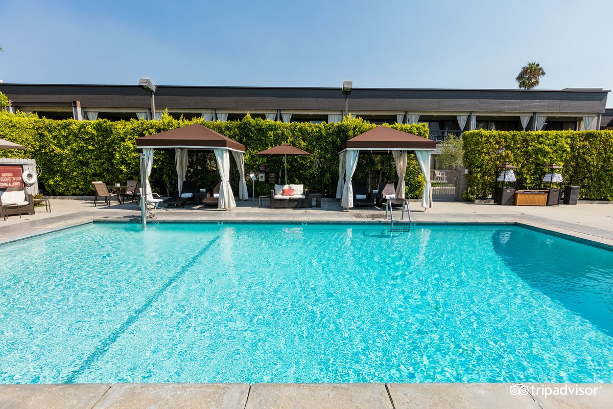 Luxe Sunset Boulevard Hotel Pool Pictures & Reviews - Tripadvisor