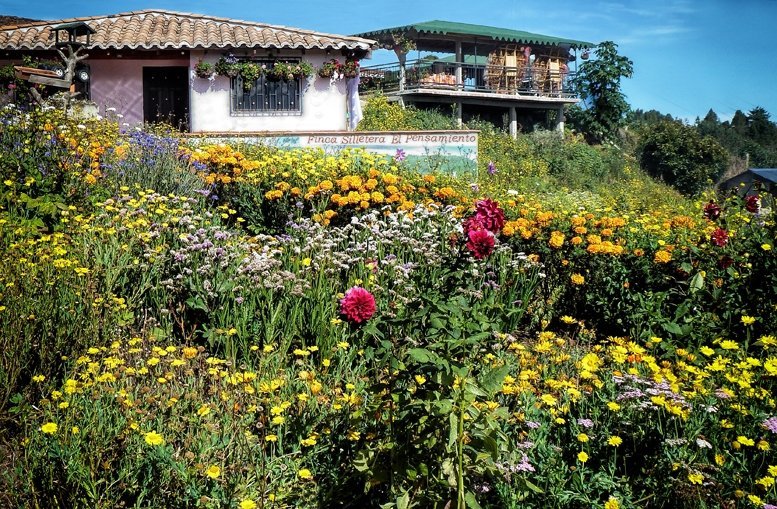 22年 Festival Of The Flowers 行く前に 見どころをチェック トリップアドバイザー