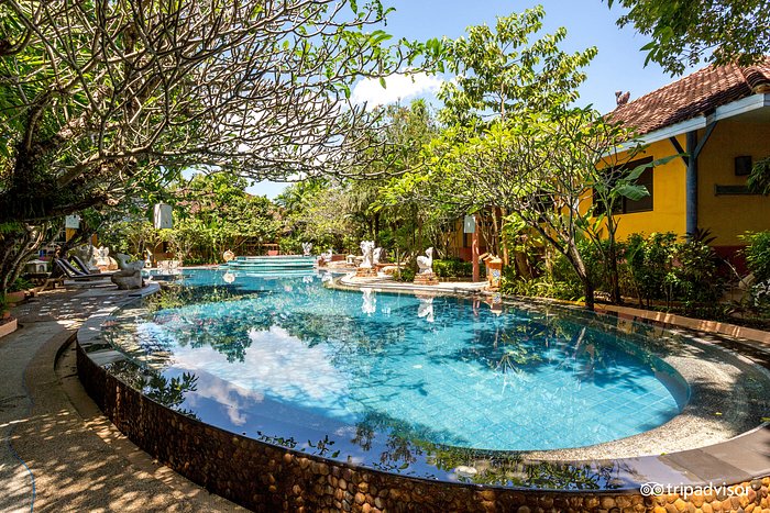 A Lovely Oasis in the Heart of Soi Taied Fighter's Street, Phuket -  Review of Fern House Retreat, Chalong, Thailand - Tripadvisor