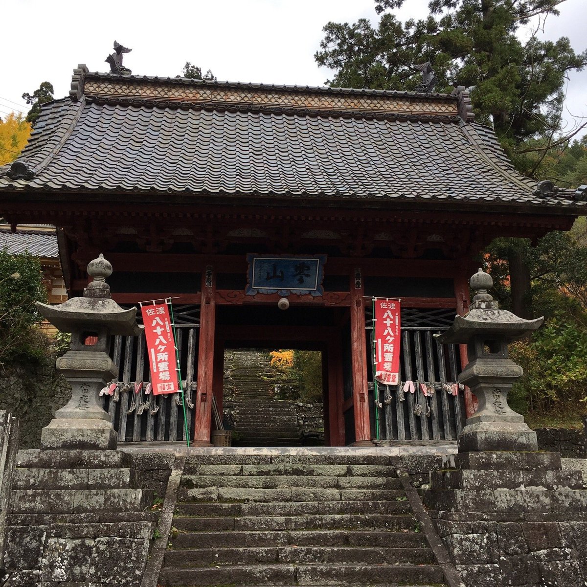 北豊山 長谷寺 口コミ 写真 地図 情報 トリップアドバイザー