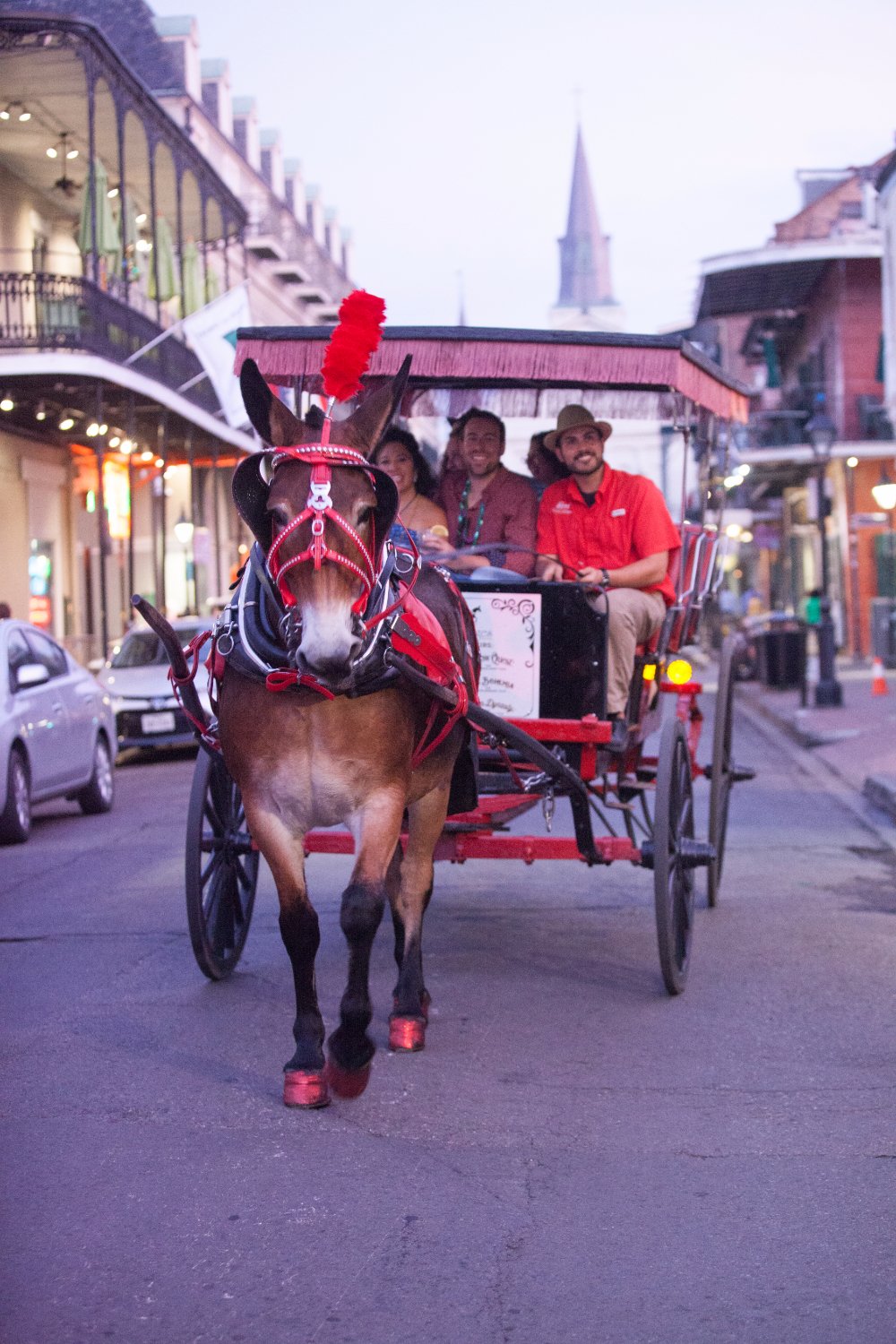 New fashion Orleans Carriage Ride