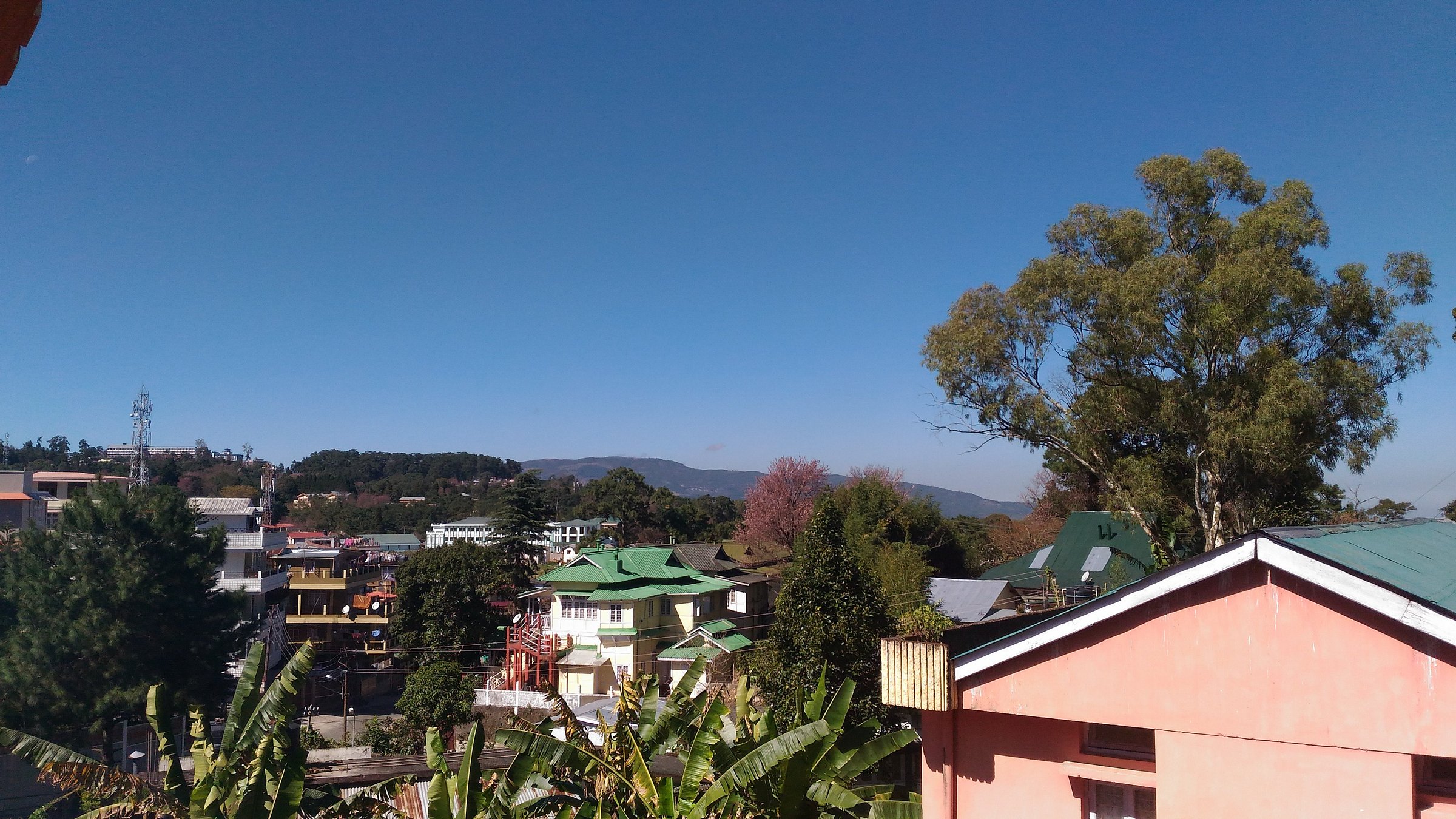 traveller's nest shillong photos