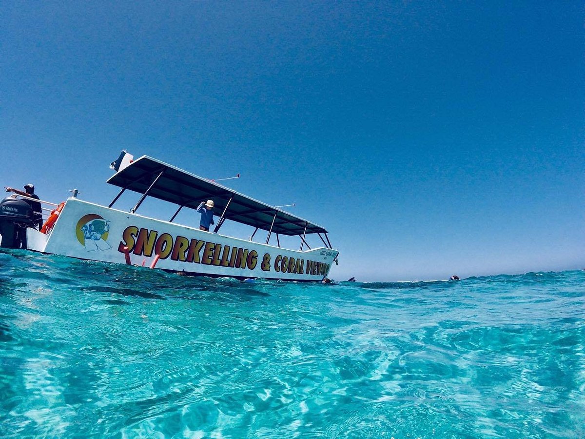 ningaloo tours coral bay