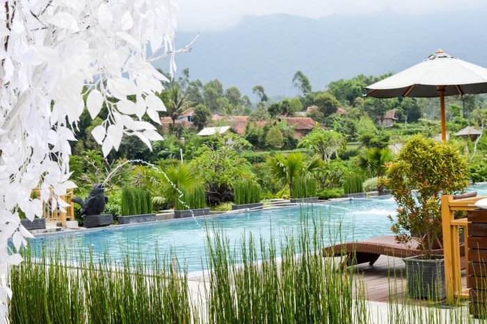 Kamojang Green Hotel & Resort Pool: Pictures & Reviews - Tripadvisor