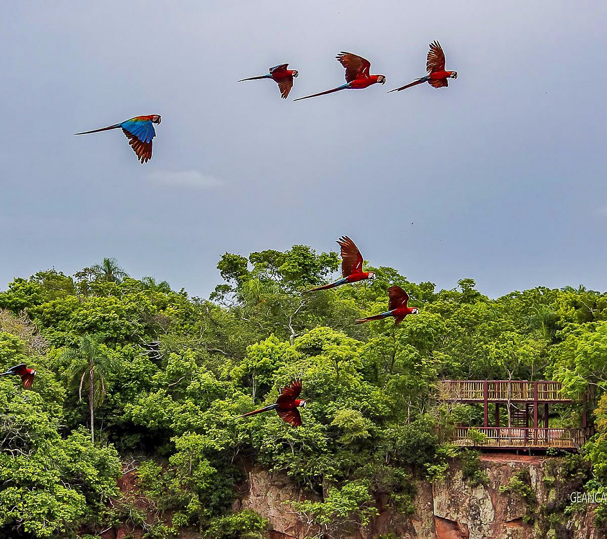 Buraco das Araras Ecoturismo (Jardim) - All You Need to Know BEFORE You Go Buraco das Araras Ecoturismo (Jardim) - All You Need to Know BEFORE You Go