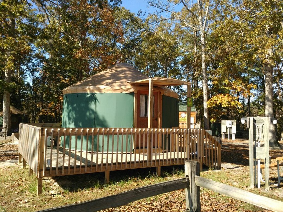 YOGI BEAR'S JELLYSTONE PARK AT DADDY JOE'S Updated 2021 Campground