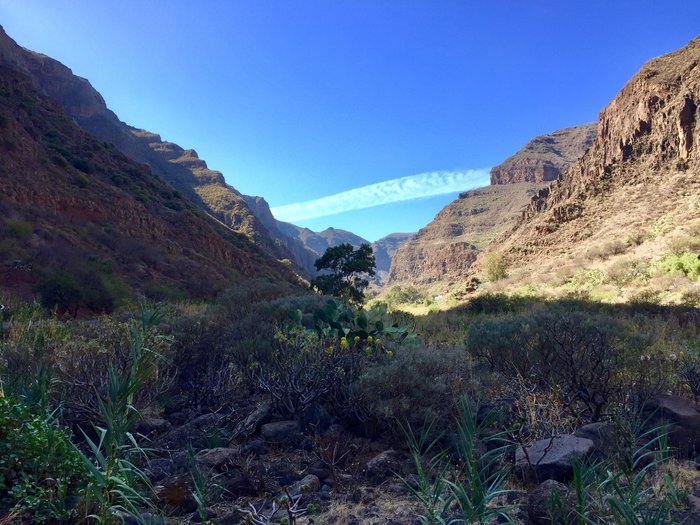 Imagen 1 de Barranco de Guayadeque