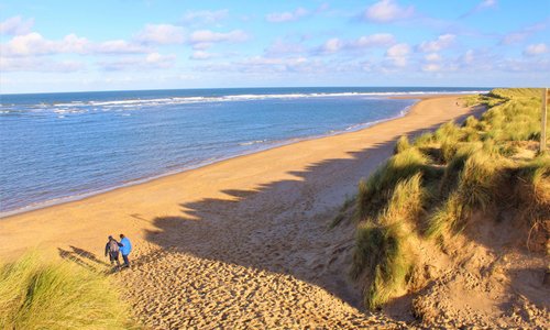 can dogs go on the beach at wells next the sea