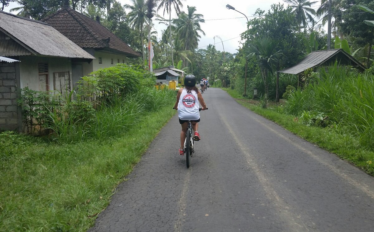 eco bike tours ubud