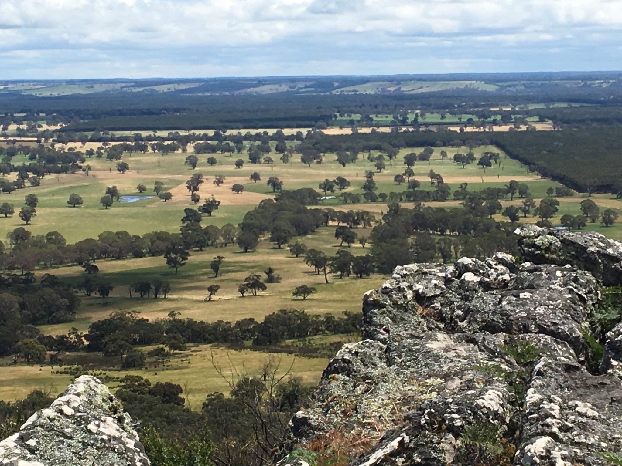 GLENISLA HOMESTEAD (Cavendish, Australia) - Opiniones Y Comentarios - B ...