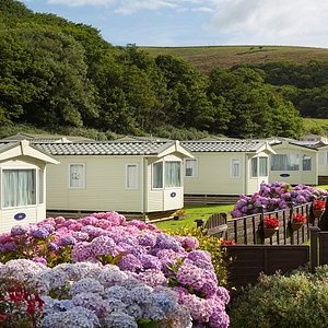 Bovisand Lodge Holiday Park - view of caravans with the beach behind you