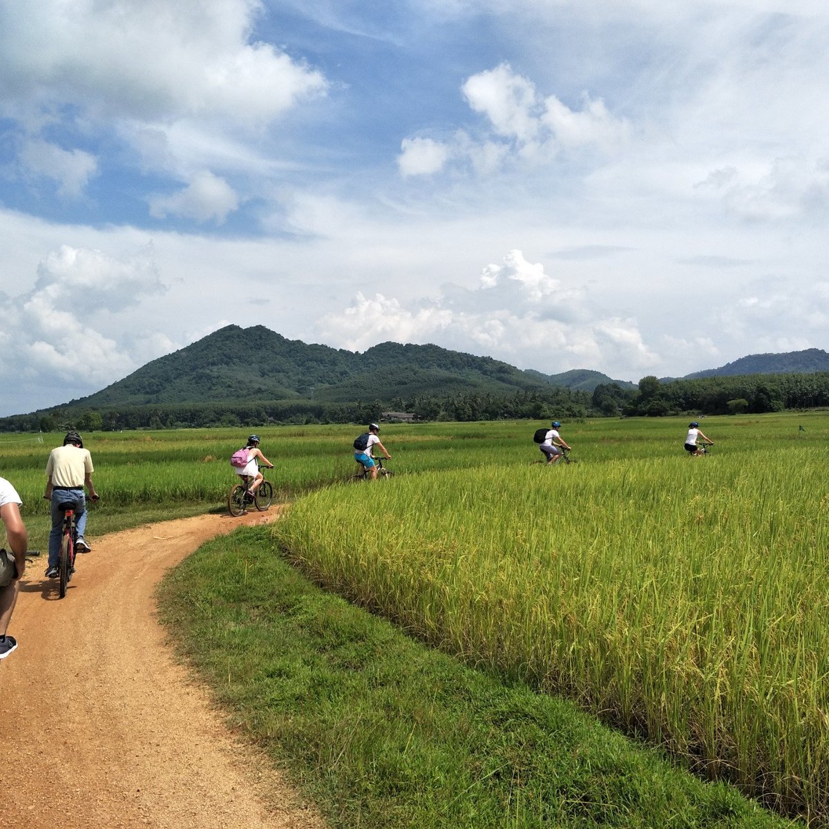 Feel Phuket Bike & Hike - All You Need to Know BEFORE You Go (2024)