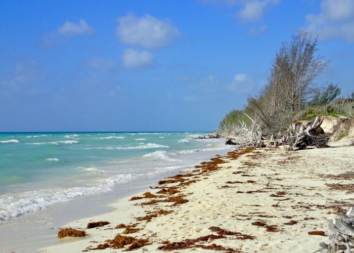 It was high tide during our visit, but the water was still shallow for quite a ways out.
