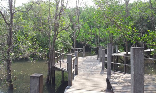 boardwalk along the bay