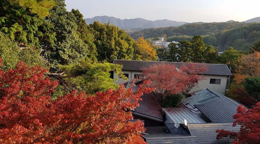 Mountain view with autumn trees