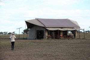 Pumzika Luxury Safari Camp - East Africa Camps in Serengeti