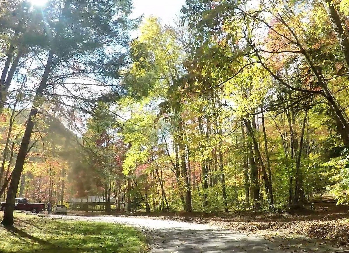 COLLINS CREEK PICNIC AREA (Great Smoky Mountains National Park) - Qué ...