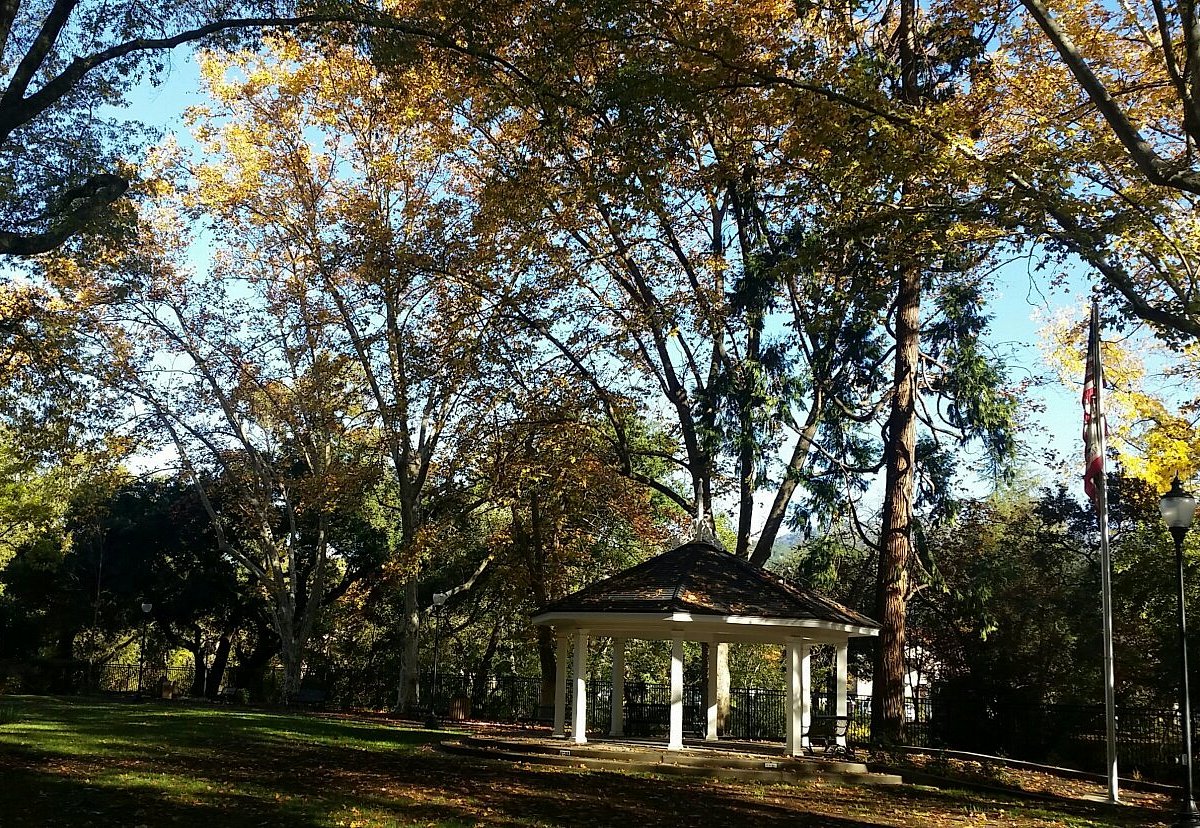 Пионерский парк. Пионер парк Барнаул. Парк пионеров Ташкент. Aijian Pioneer Park.