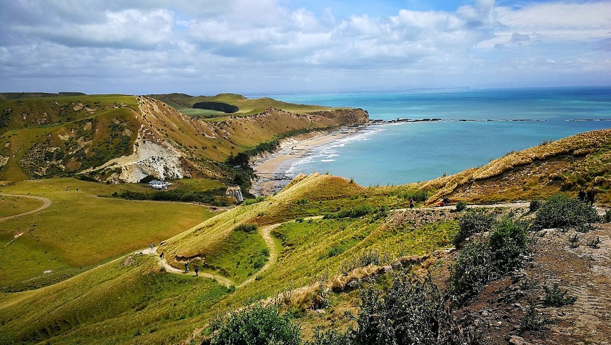cape kidnappers tour