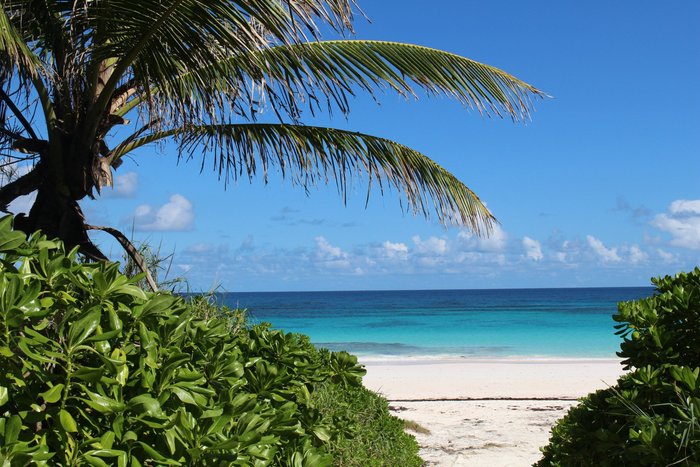 Harbour Island Pink Sand Beach